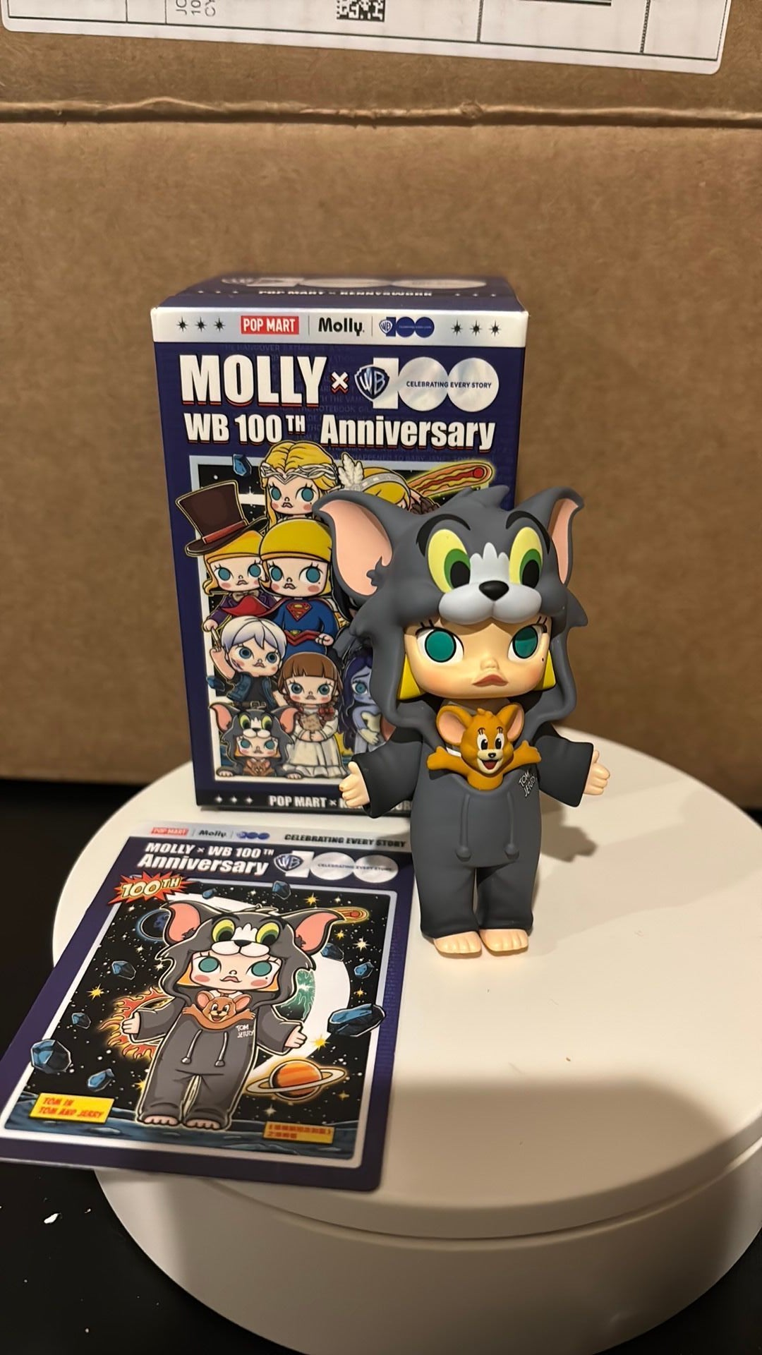 Pop Mart Molly Authentic Molly WB 100th Anniversary (Tom in Tom and Jerry)